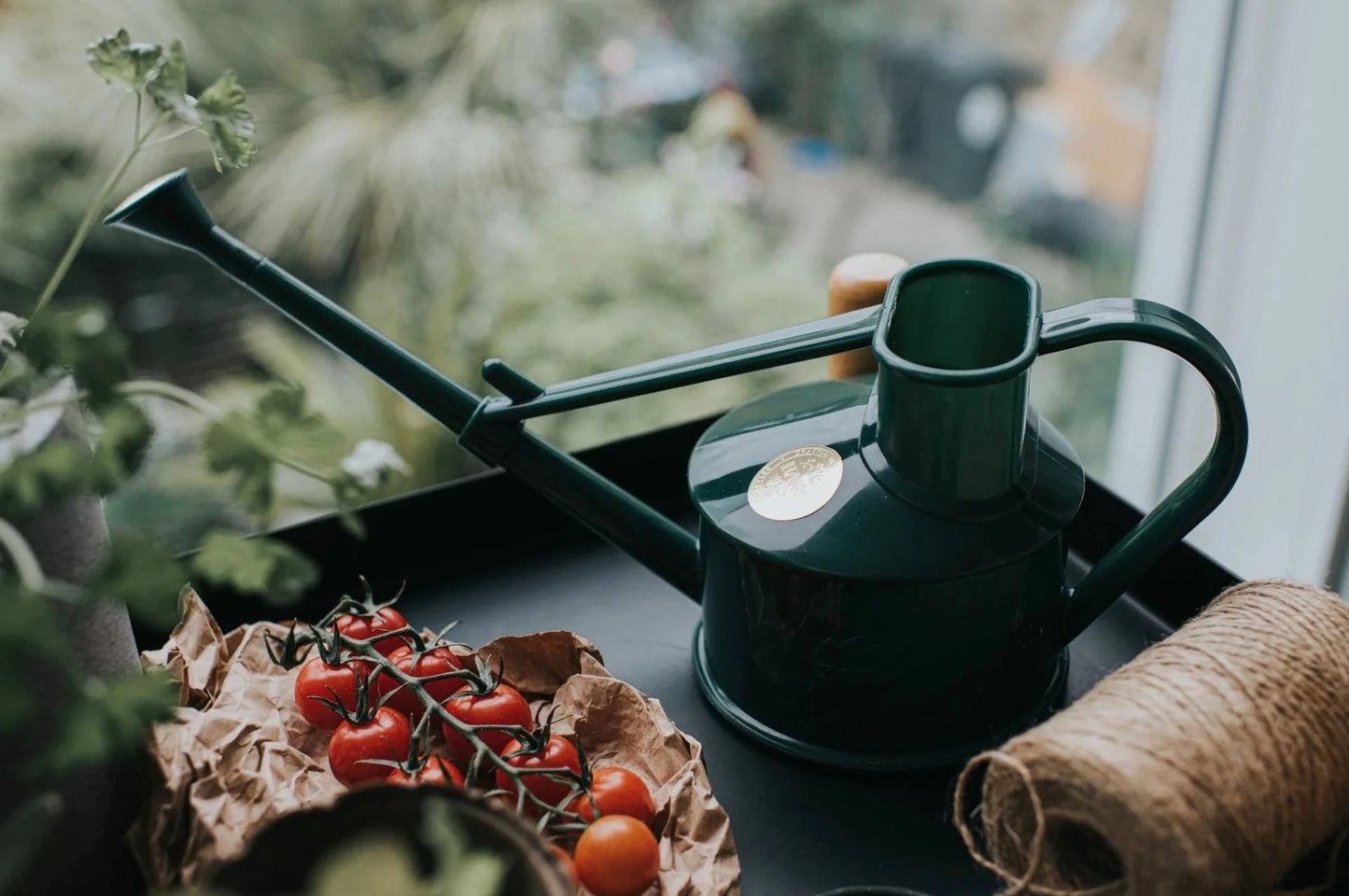 Haws Langley Sprinkler One Pint Watering Can in British Green setting in a tray.
