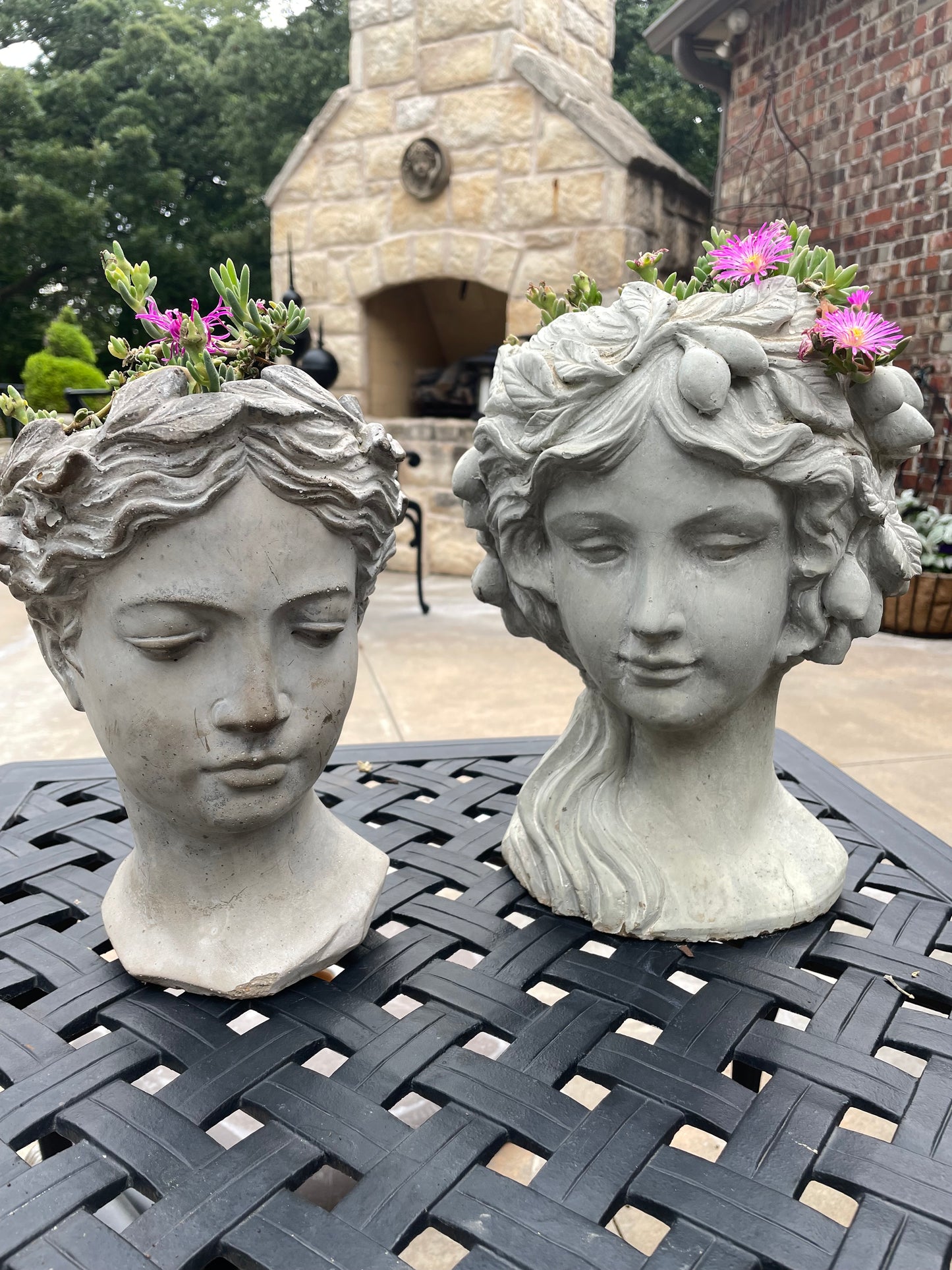 Two beautiful ladies with lovely Delosperma hair!