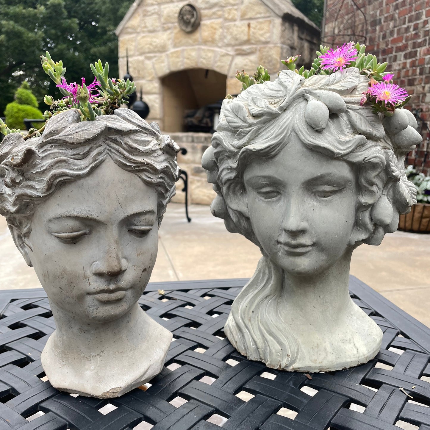 Two Ladies with Delosperma hair
