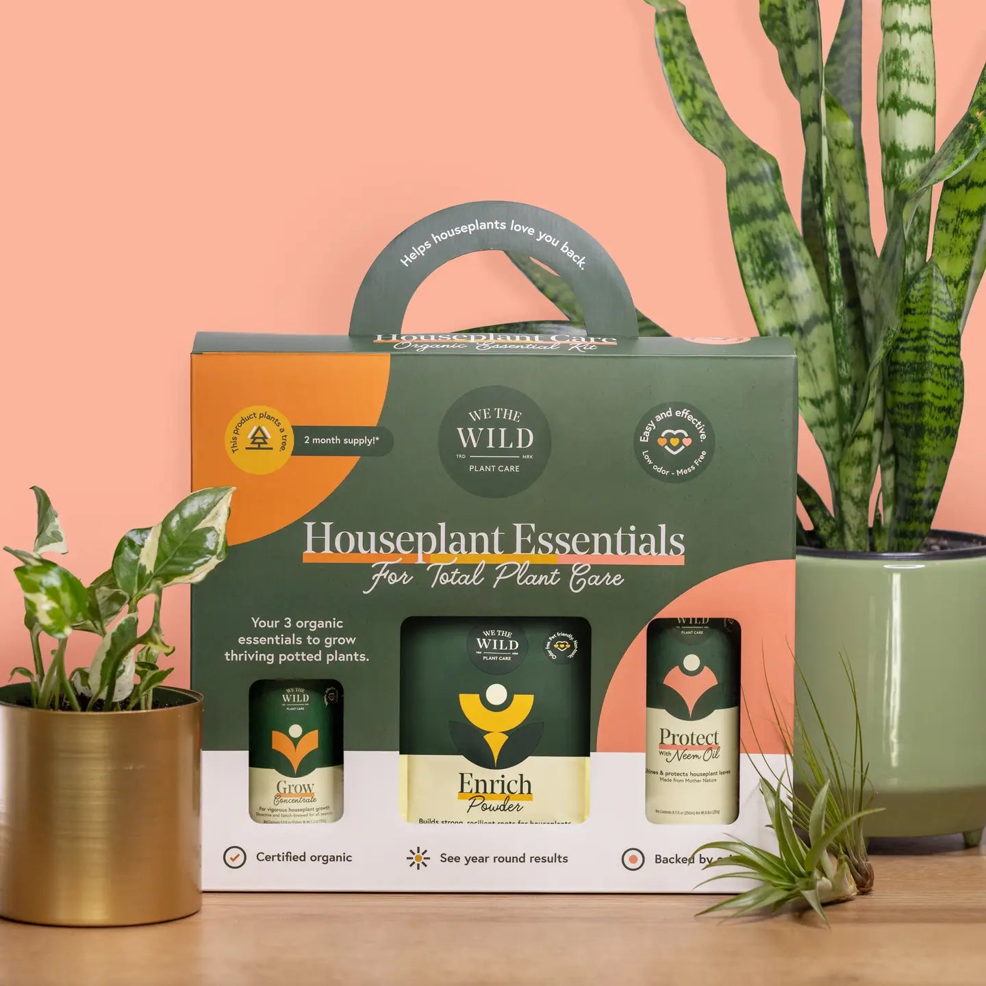 The Houseplant Essentials for total plant care kit