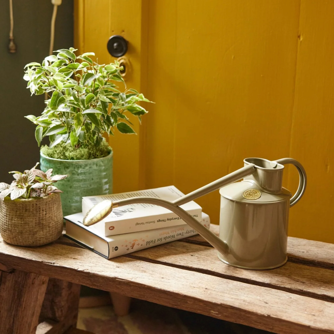 Haws Rolwley Ripple Metal Two Pint Watering Can in Three Colors - Hidden Lake Garden Home