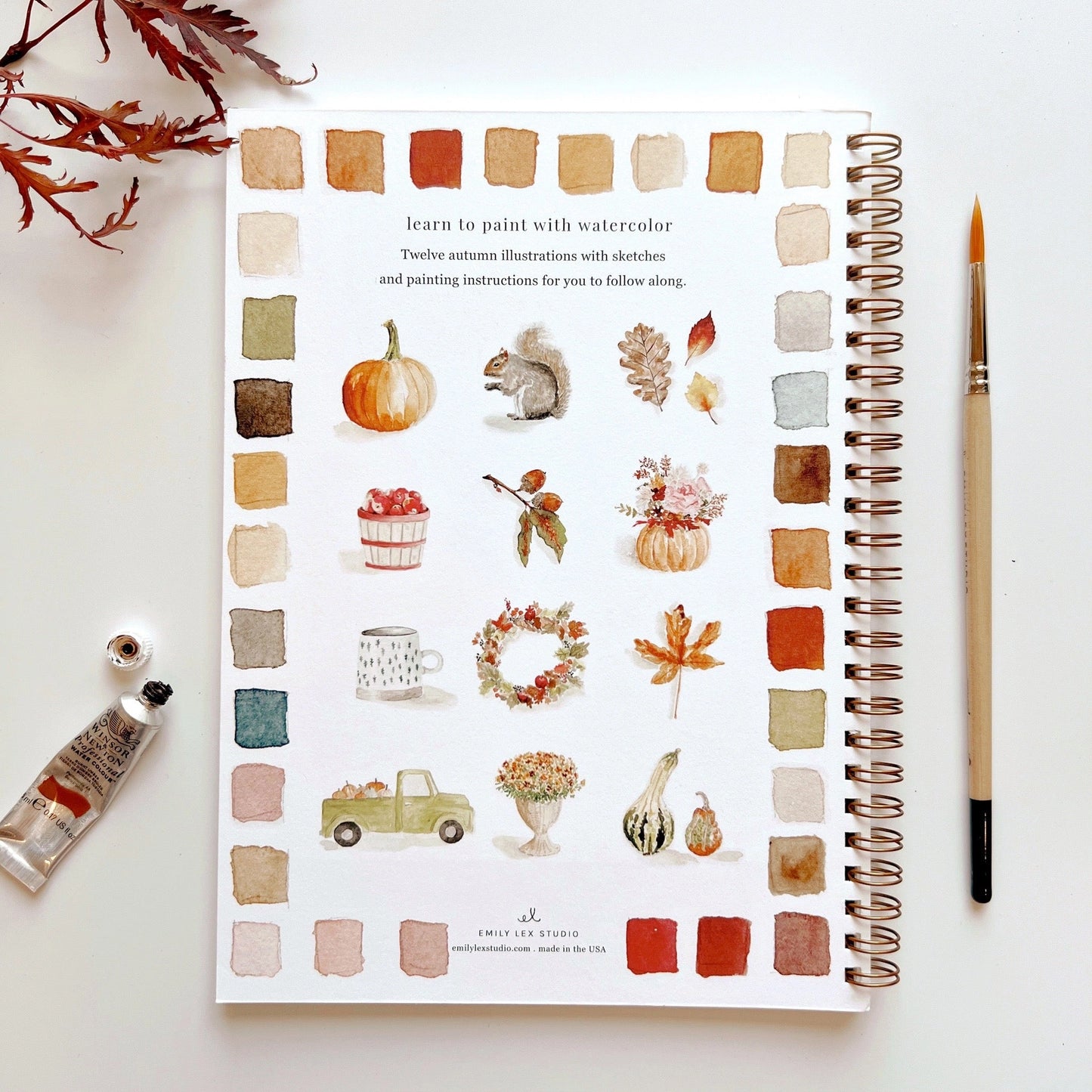 Back cover of Emily Lex Autumn Watercolor Workbook featuring soft autumn foliage illustrations and paintbrush accents.