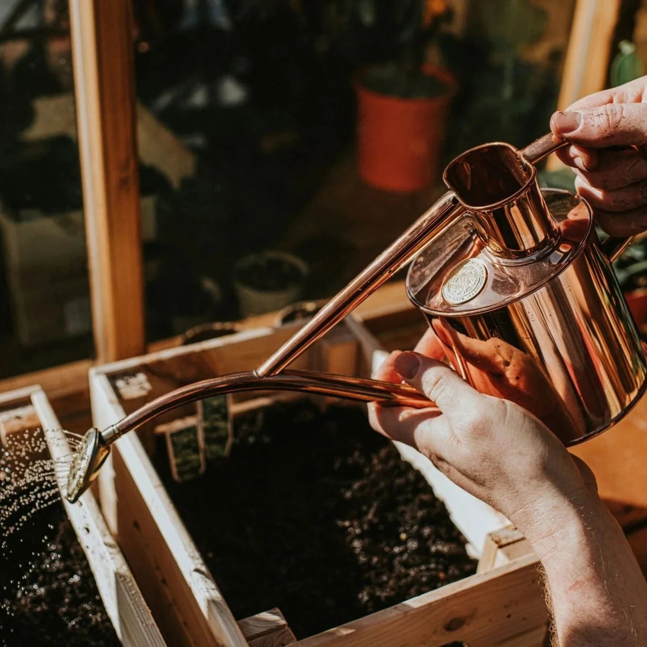 Haws Rowley Ripple Watering Can - 2 Pint Copper watering seedlings