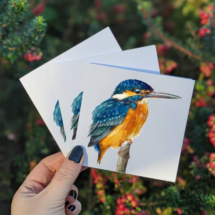 A picture of the mini watercolor Kingfisher greeting card.