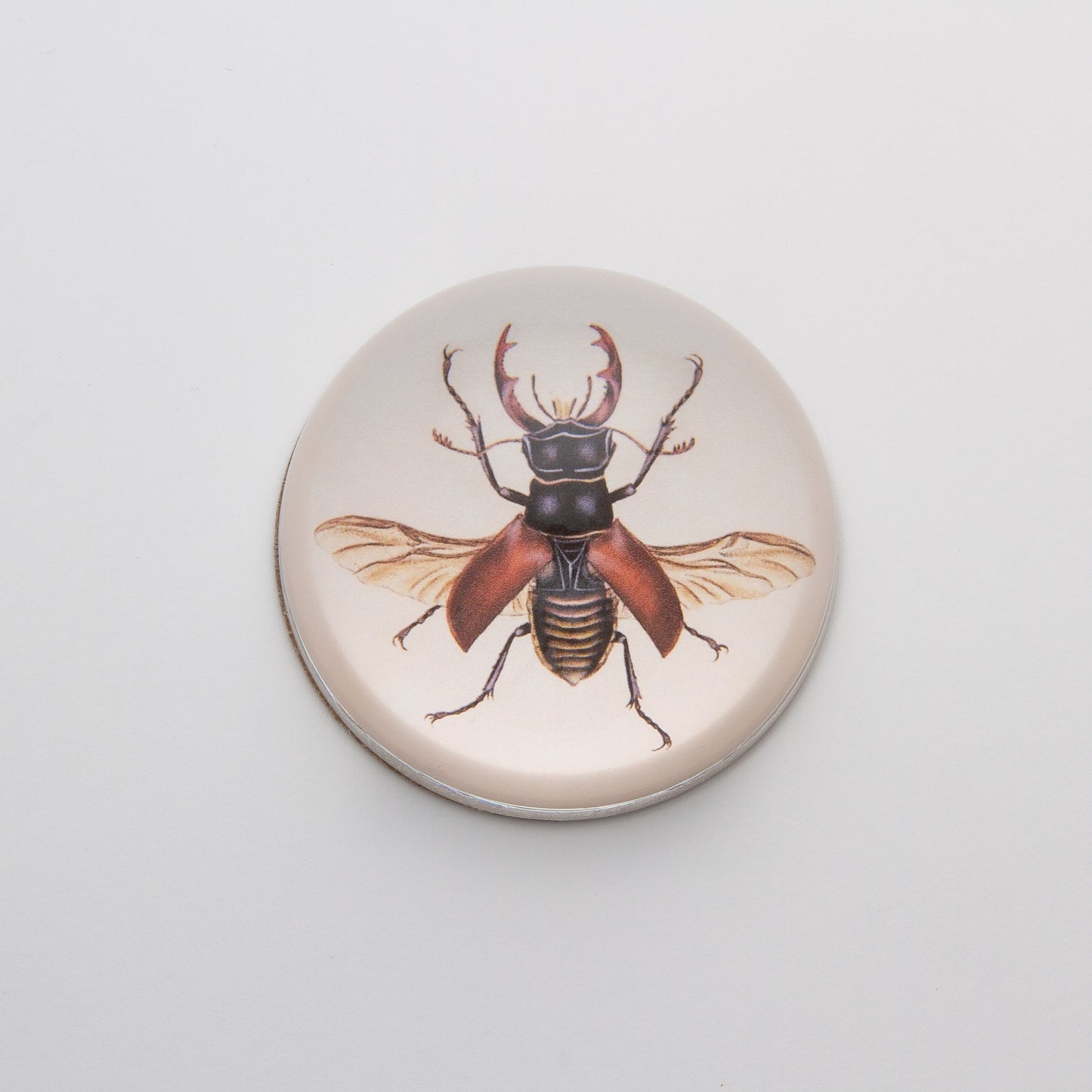 Brown Insect - Crystal Dome Decoupaged Paperweight - Hidden Lake Garden Home