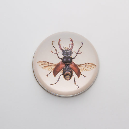 Brown Insect - Crystal Dome Decoupaged Paperweight - Hidden Lake Garden Home