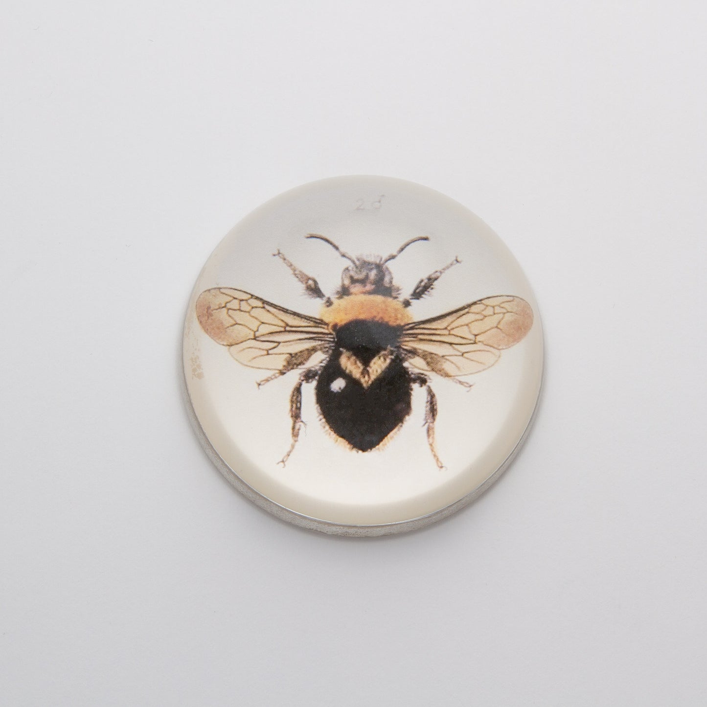 Black and Orange Bee - Crystal Dome Decoupaged Paperweight - Hidden Lake Garden Home