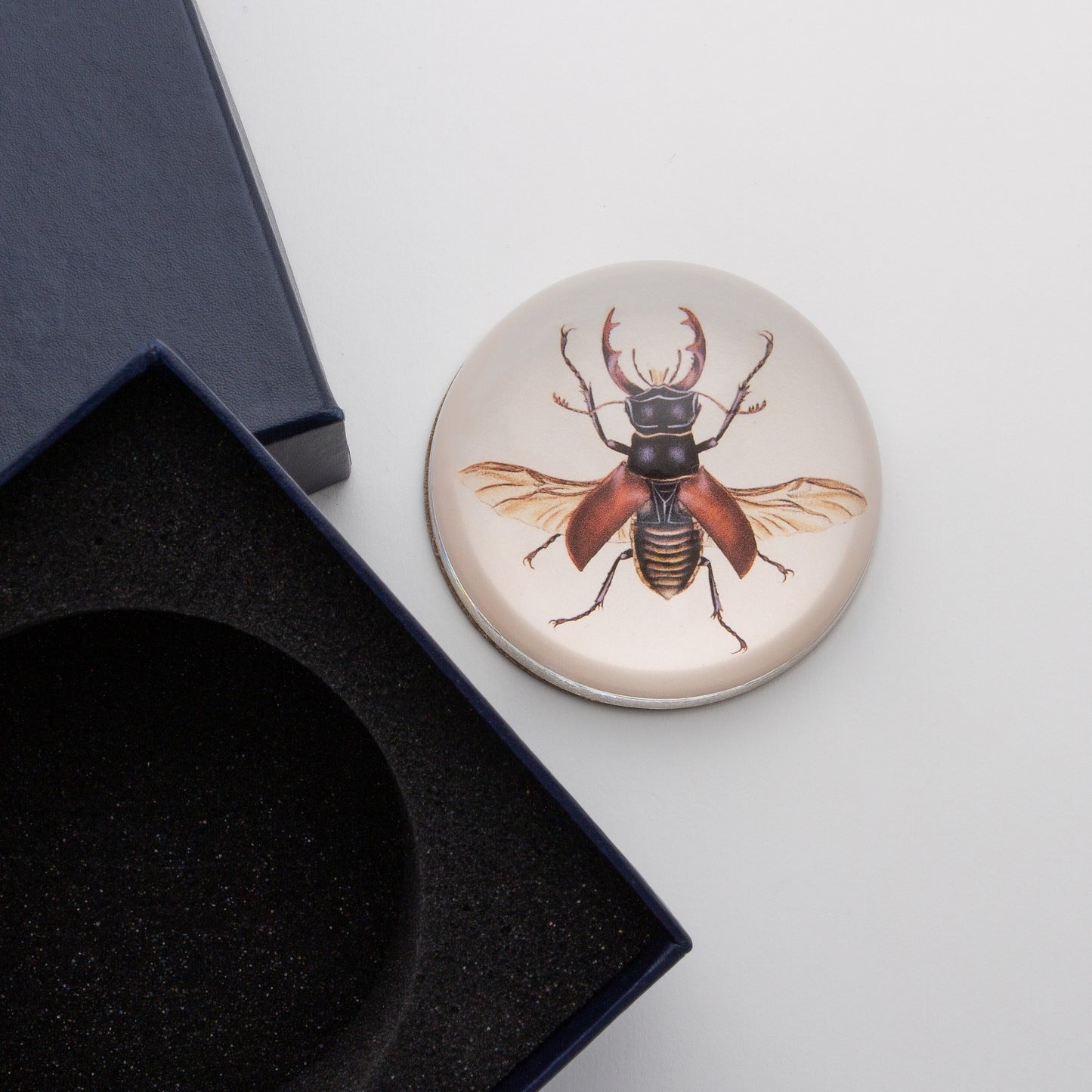 Brown Insect - Crystal Dome Decoupaged Paperweight - Hidden Lake Garden Home