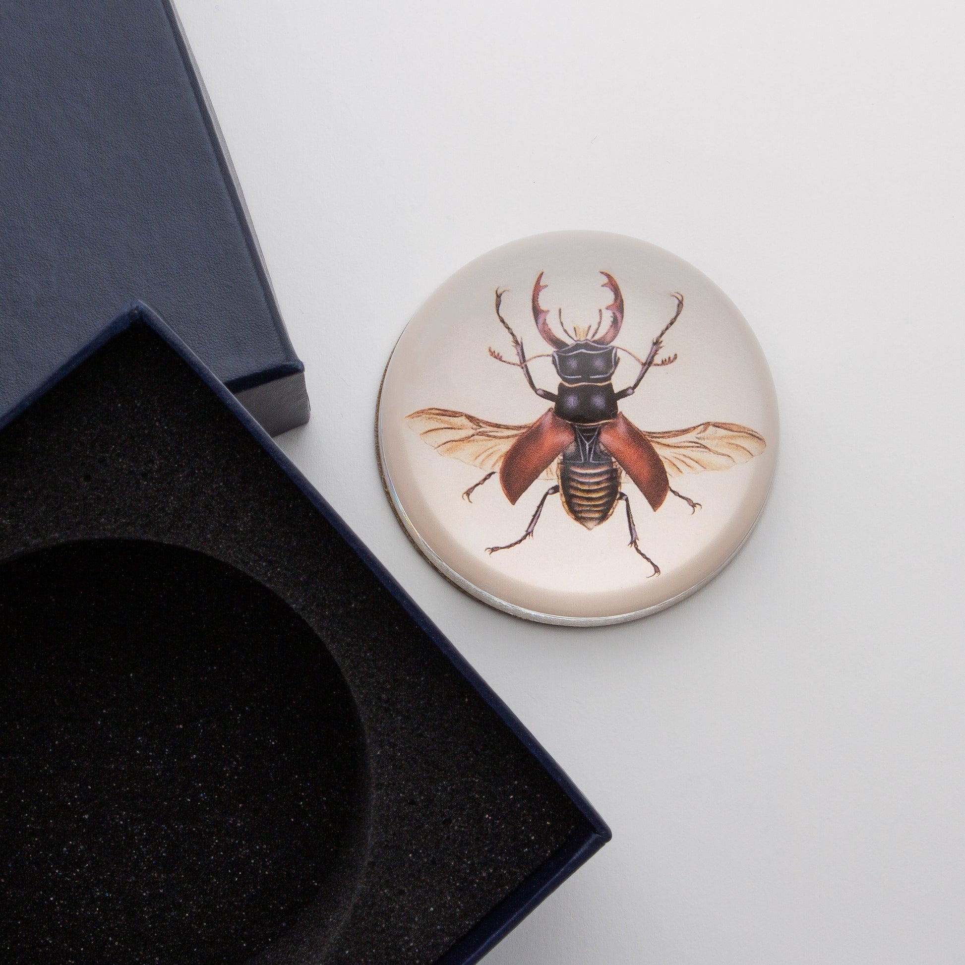 Brown Insect - Crystal Dome Decoupaged Paperweight - Hidden Lake Garden Home