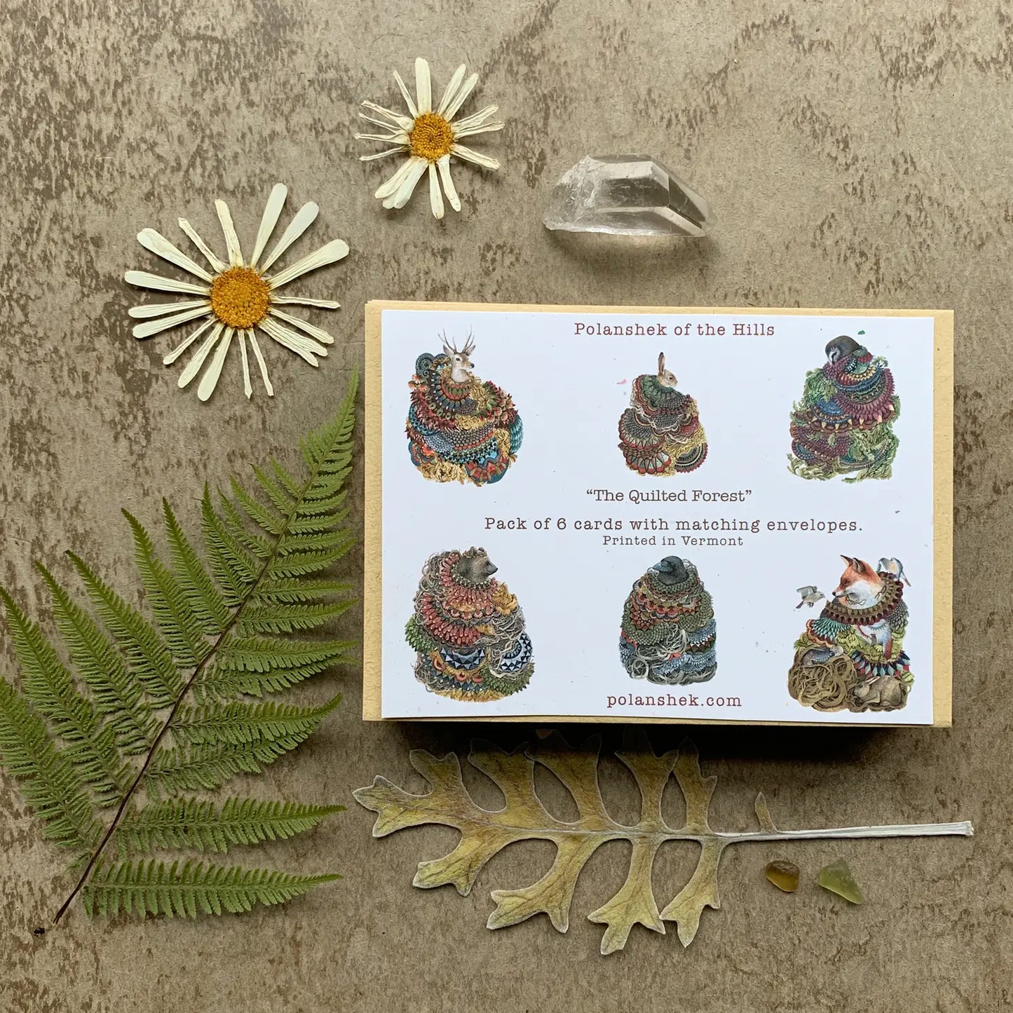 A picture showing the back of the box of the Quilted Forest greeting note card collection.