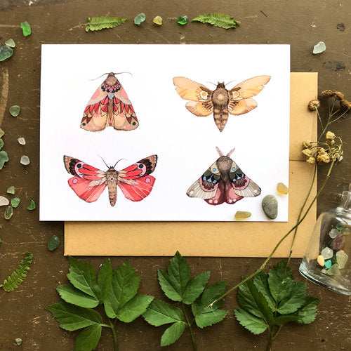 Moths Part 1-Collection Greeting Card - Hidden Lake Garden Home