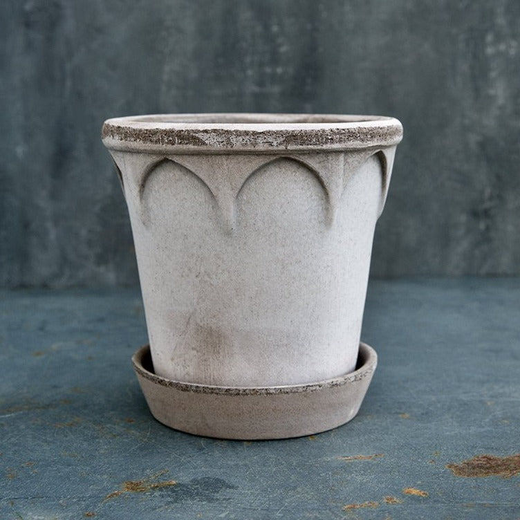 A picture of the Elizabeth in grey with a saucer
