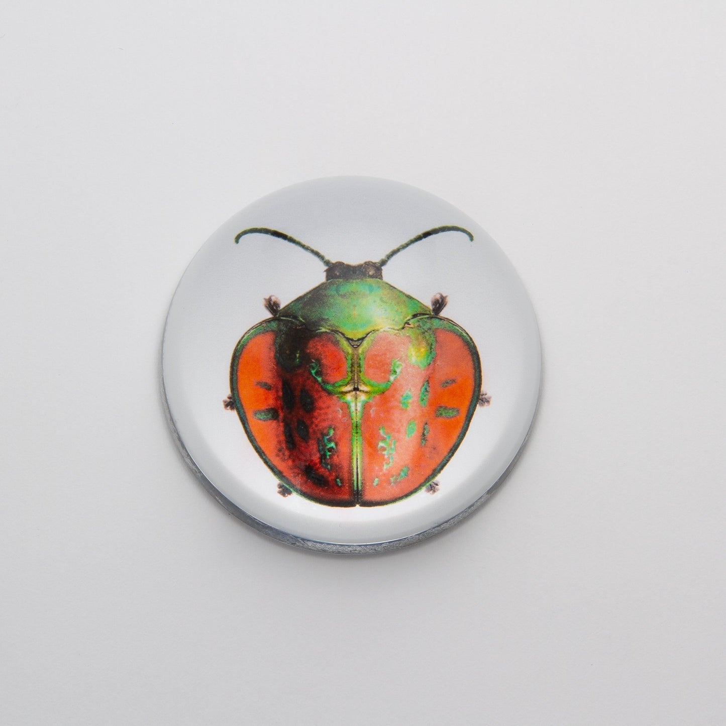 Red and Green Beetle - Crystal Dome Decoupaged Paperweight - Hidden Lake Garden Home