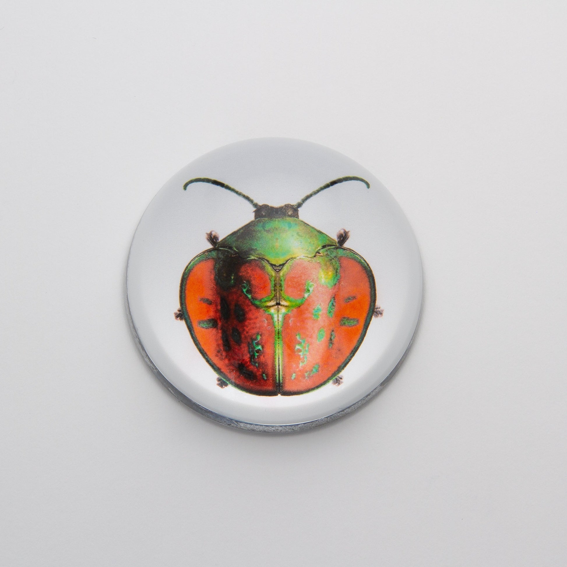 Red and Green Beetle - Crystal Dome Decoupaged Paperweight - Hidden Lake Garden Home