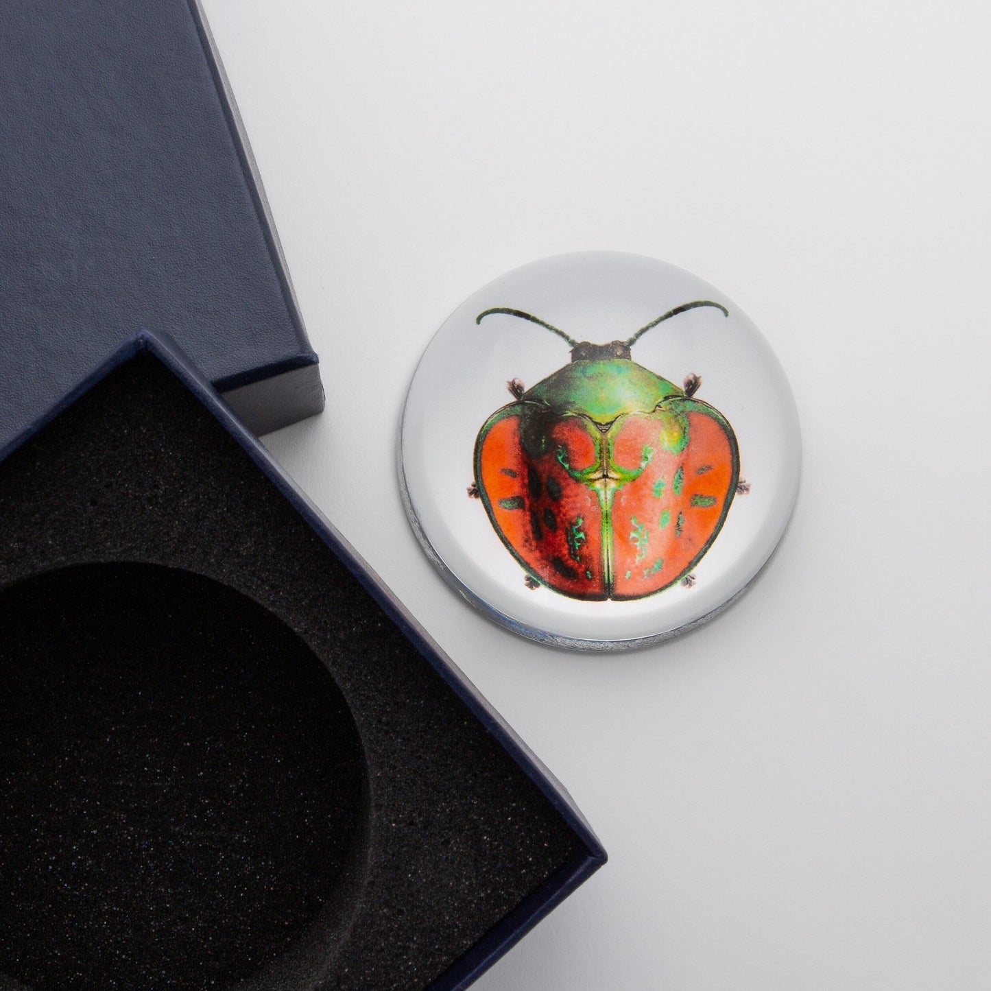 Red and Green Beetle - Crystal Dome Decoupaged Paperweight - Hidden Lake Garden Home