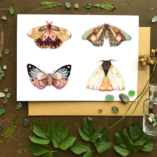 Moth Part 3-Collector Greeting Card - Hidden Lake Garden Home