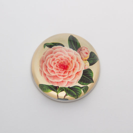 Camellia Decoupage - Crystal Dome Decoupaged Paperweight - Hidden Lake Garden Home