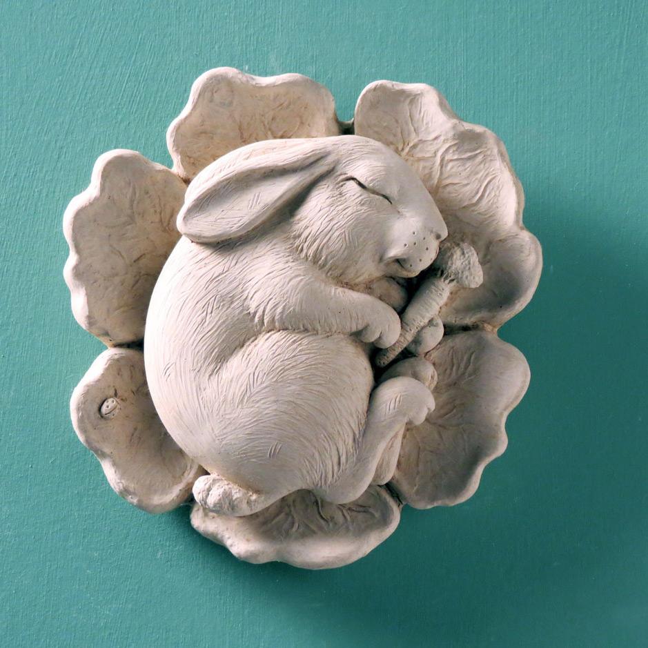 a close up of the Napping Bunny