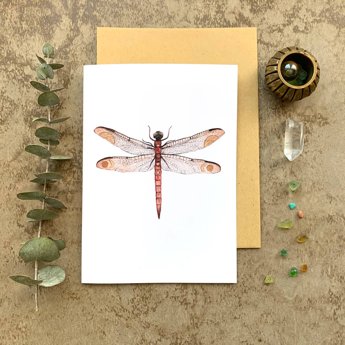 Dragonfly card is detailed and whimsical at the same time.
