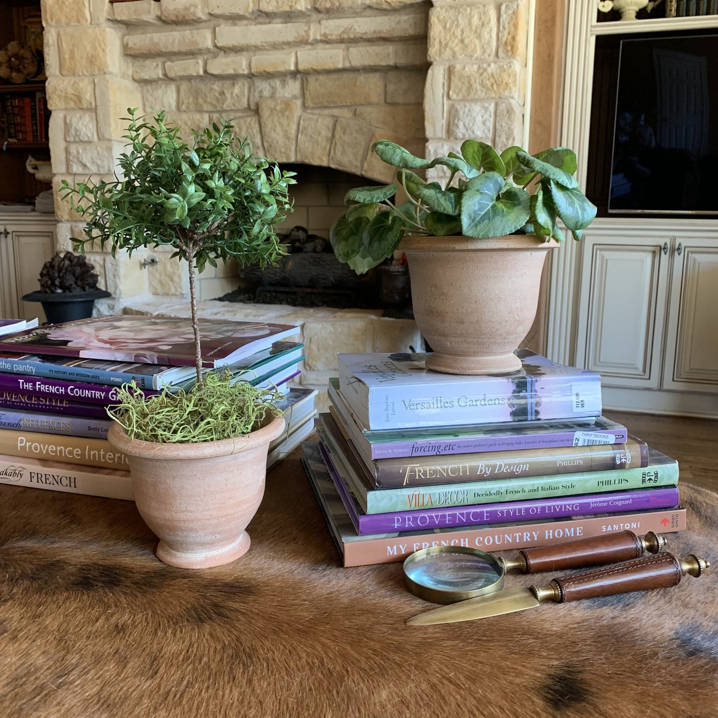 A photograph of two small Potier natural pots, one with a topiary and the other with a cyclamen