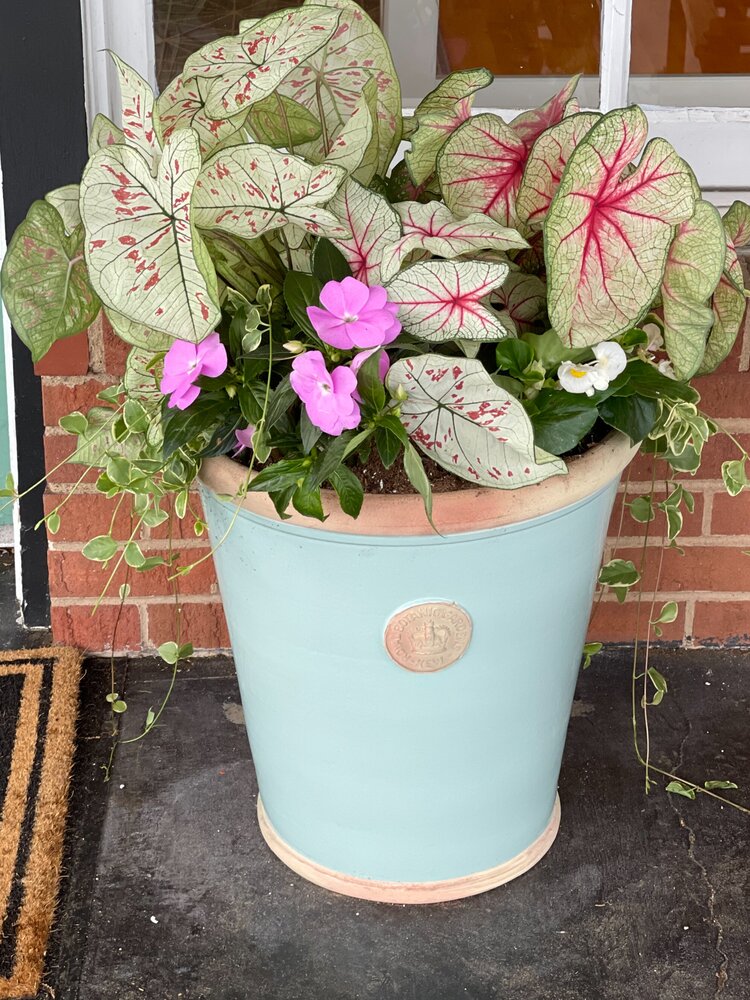 Kew Orangery XXL indoor outdoor planter - Hidden Lake Garden Home
