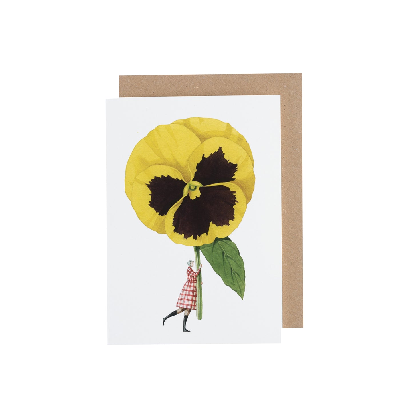 A drawing of a woman in a checked dress holding a gigantic yellow and brown pansy over her head like an umbrella