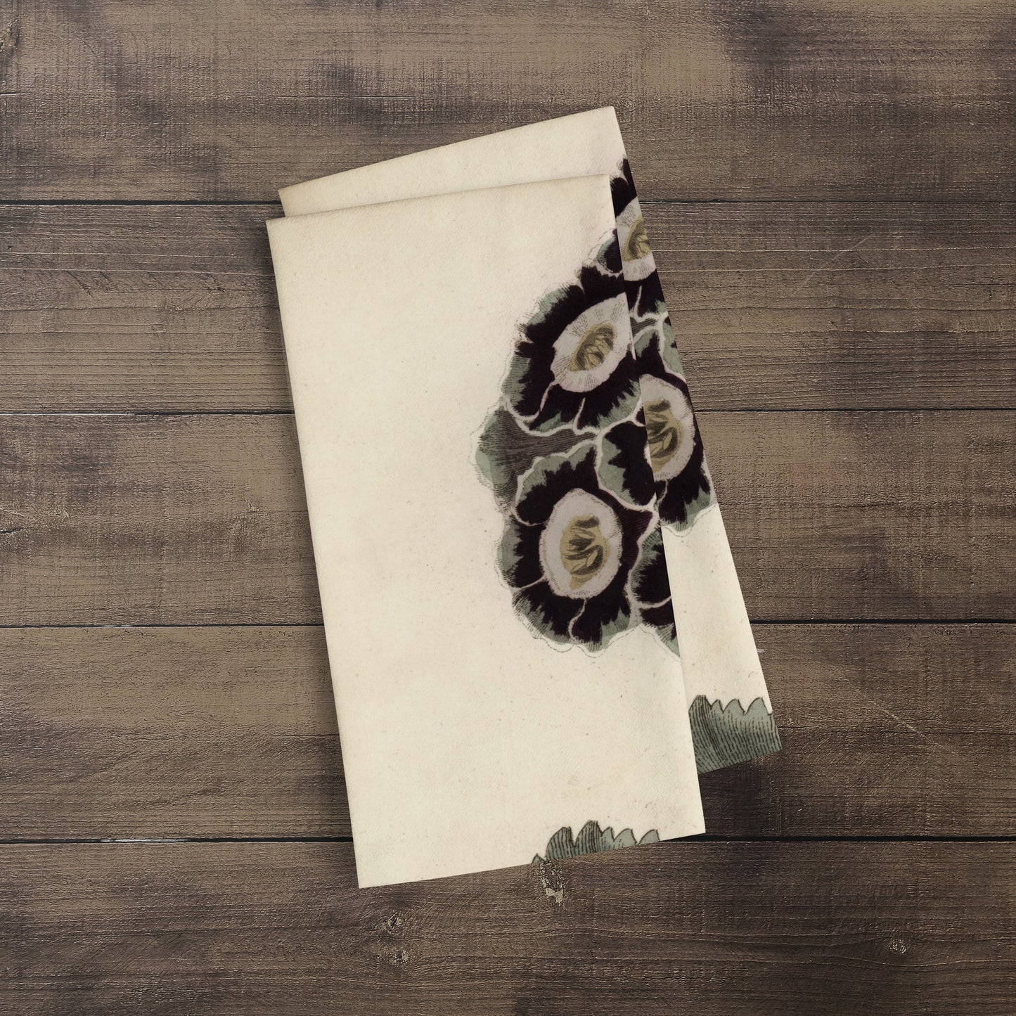 A photograph of the Auricula Botanical Print kitchen/tea towel folded over showing just part of the print. It is a William Curtis’s Print from 1790-1800