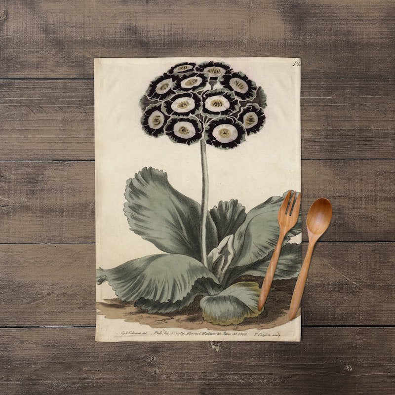 A photograph of the complete Auricula Botanical Print laying flat.