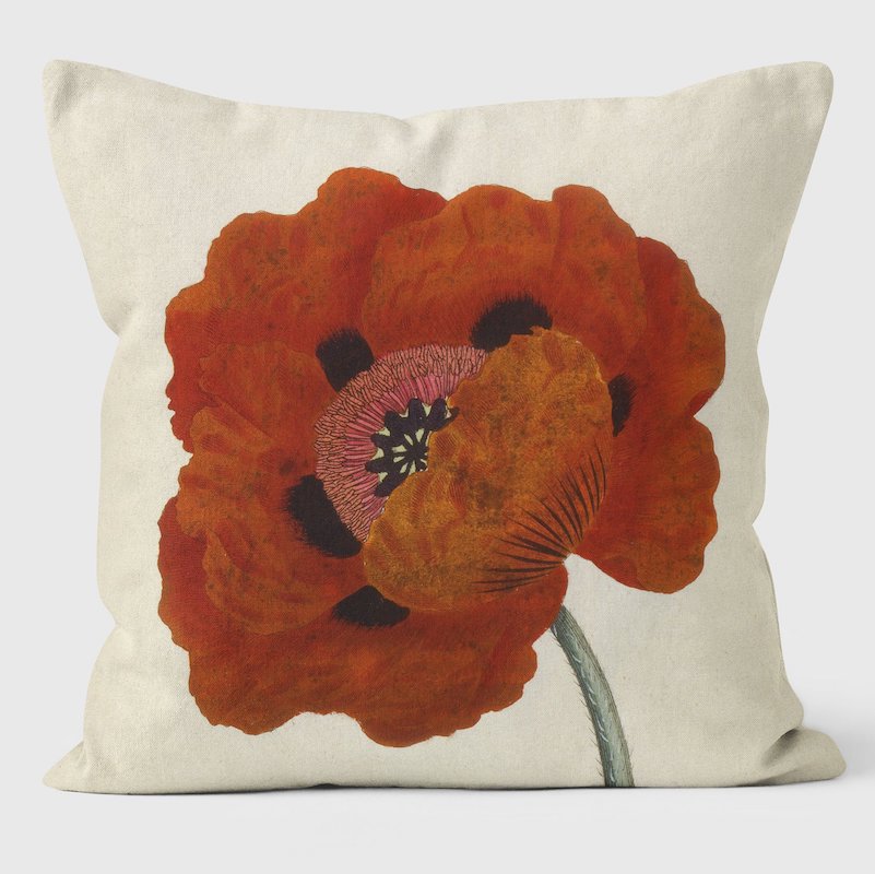 The Eastern Red Poppy Botanical Print - Outdoor Pillow - Hidden Lake Garden Home