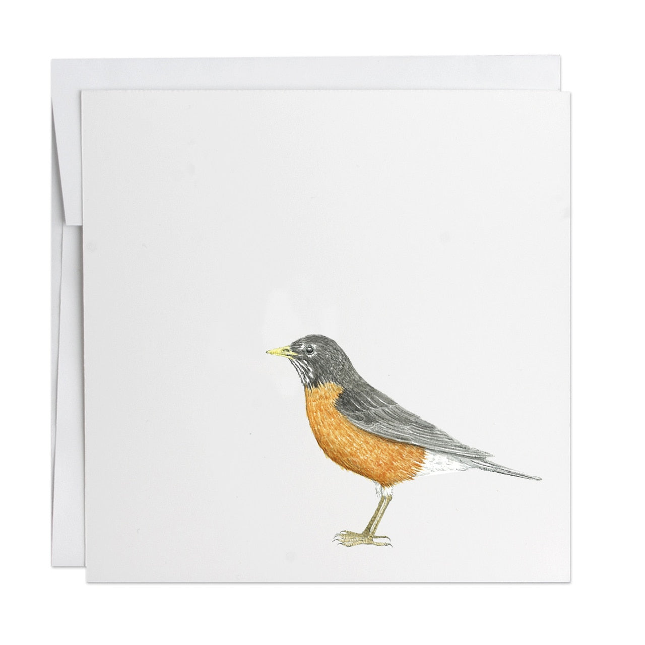 a view of the greeting card with a watercolored Robin