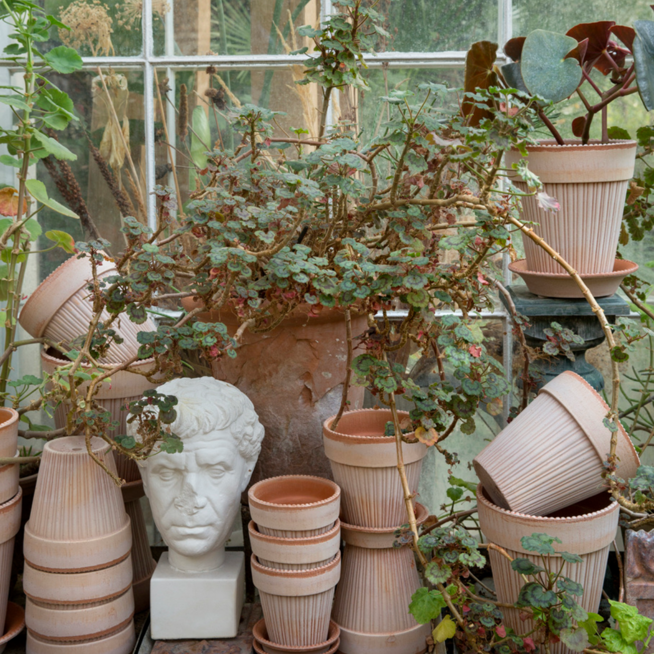 A phot showing all the different sizes of the Simona pot in the Rosa color.