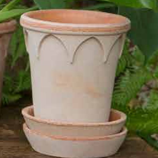Showing the Elizabeth in the natural color Rosa.