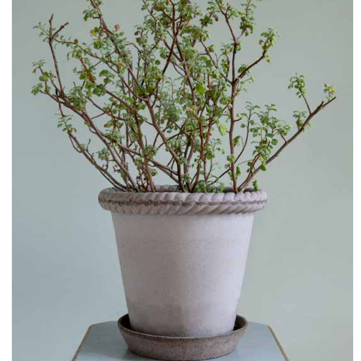 The Emilia (The Roman Rope) in the grey color.