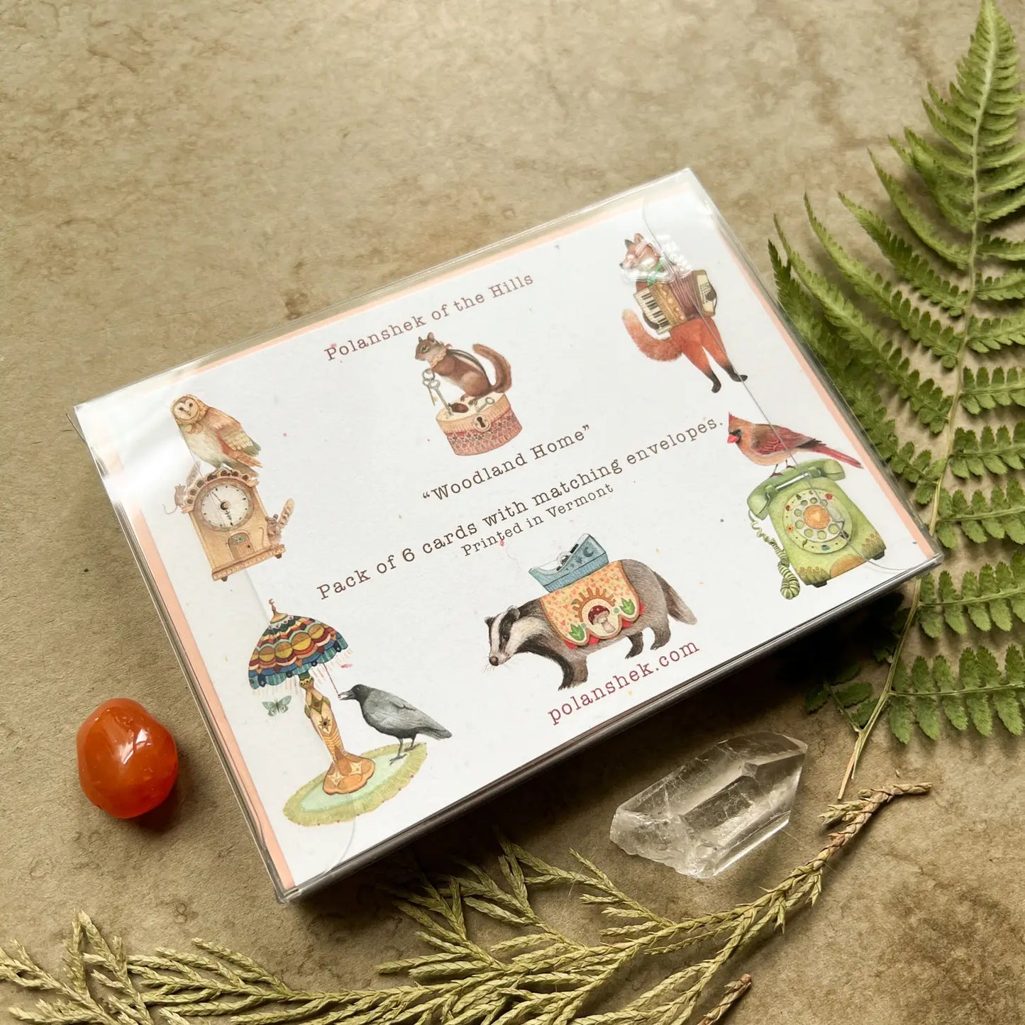 Showing the back of the box.