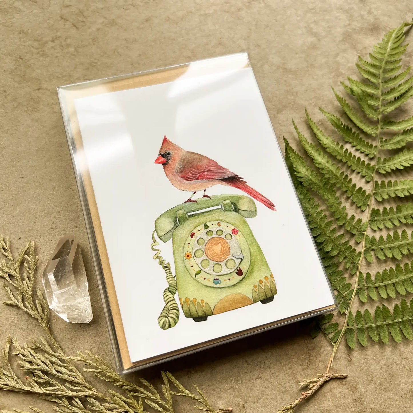 shows the front of the box.