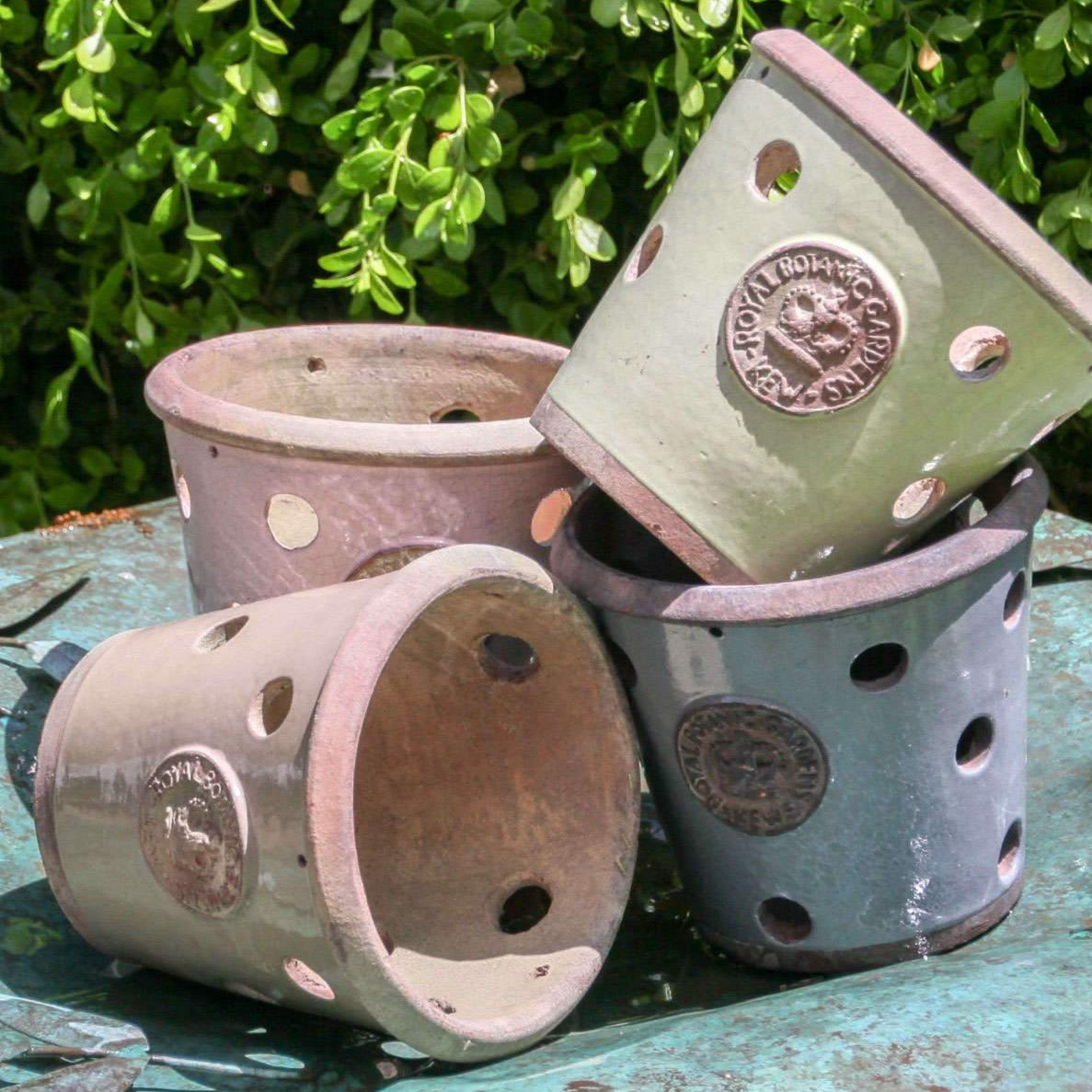 Kew orchid pots in several colors