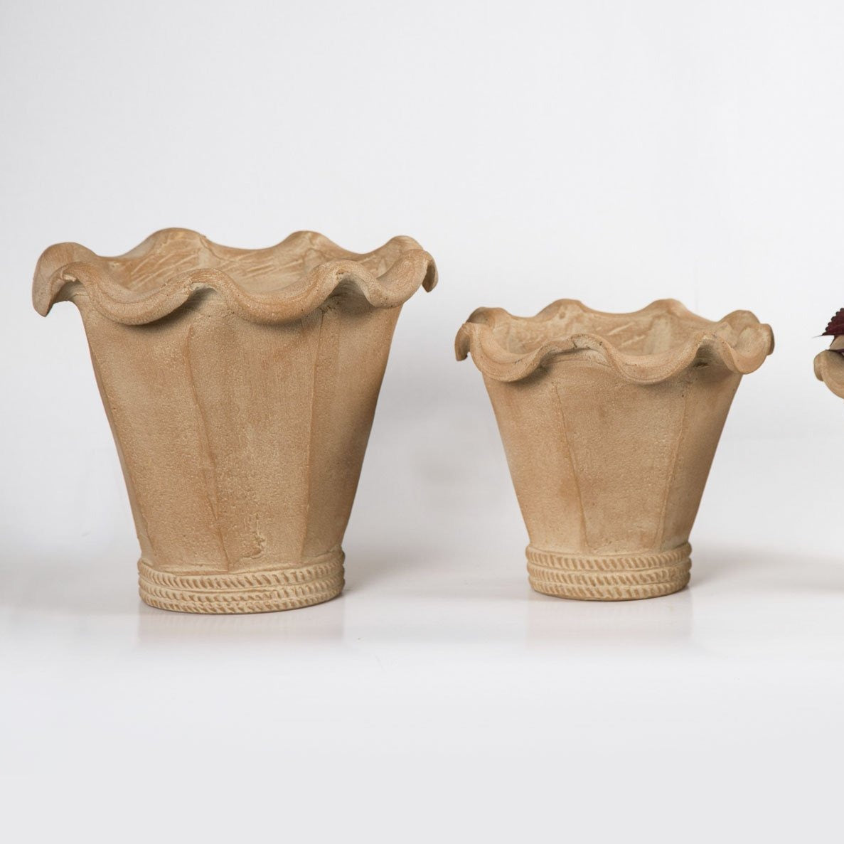 Showing the Chantecler in Natural in different sizes.