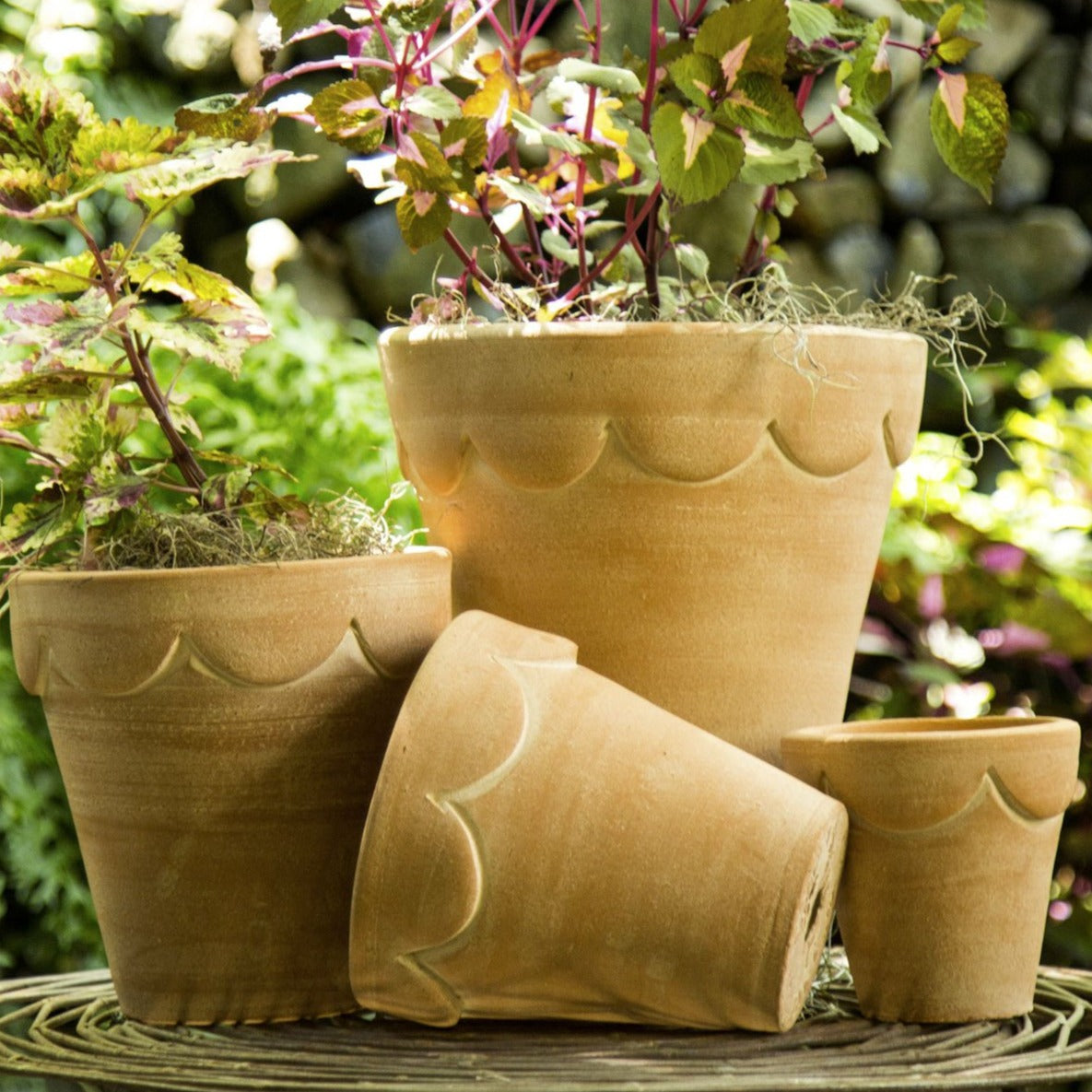 The set of Orleans Pots, showing all 4 sizes in natural
