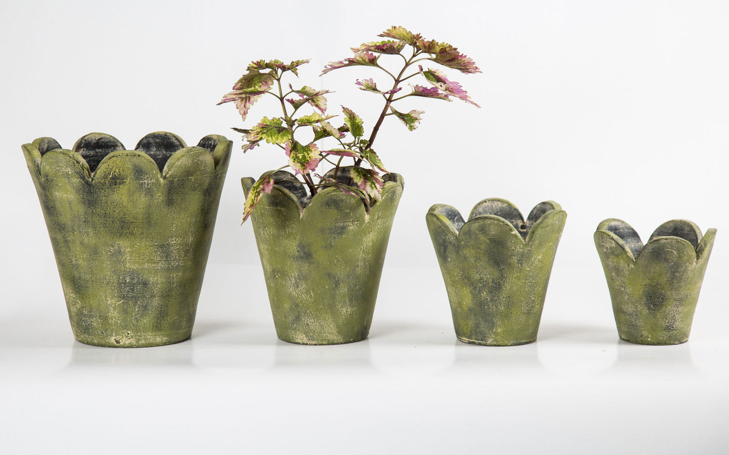 Surrey Pots shows the 4 sizes