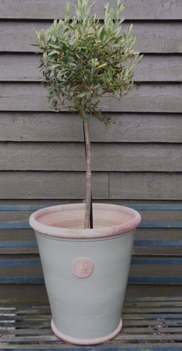 Kew Orangery XXL indoor outdoor planter - Hidden Lake Garden Home