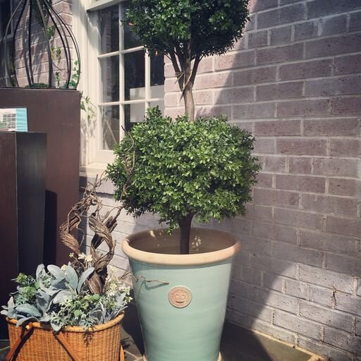 Kew Orangery XXL indoor outdoor planter - Hidden Lake Garden Home