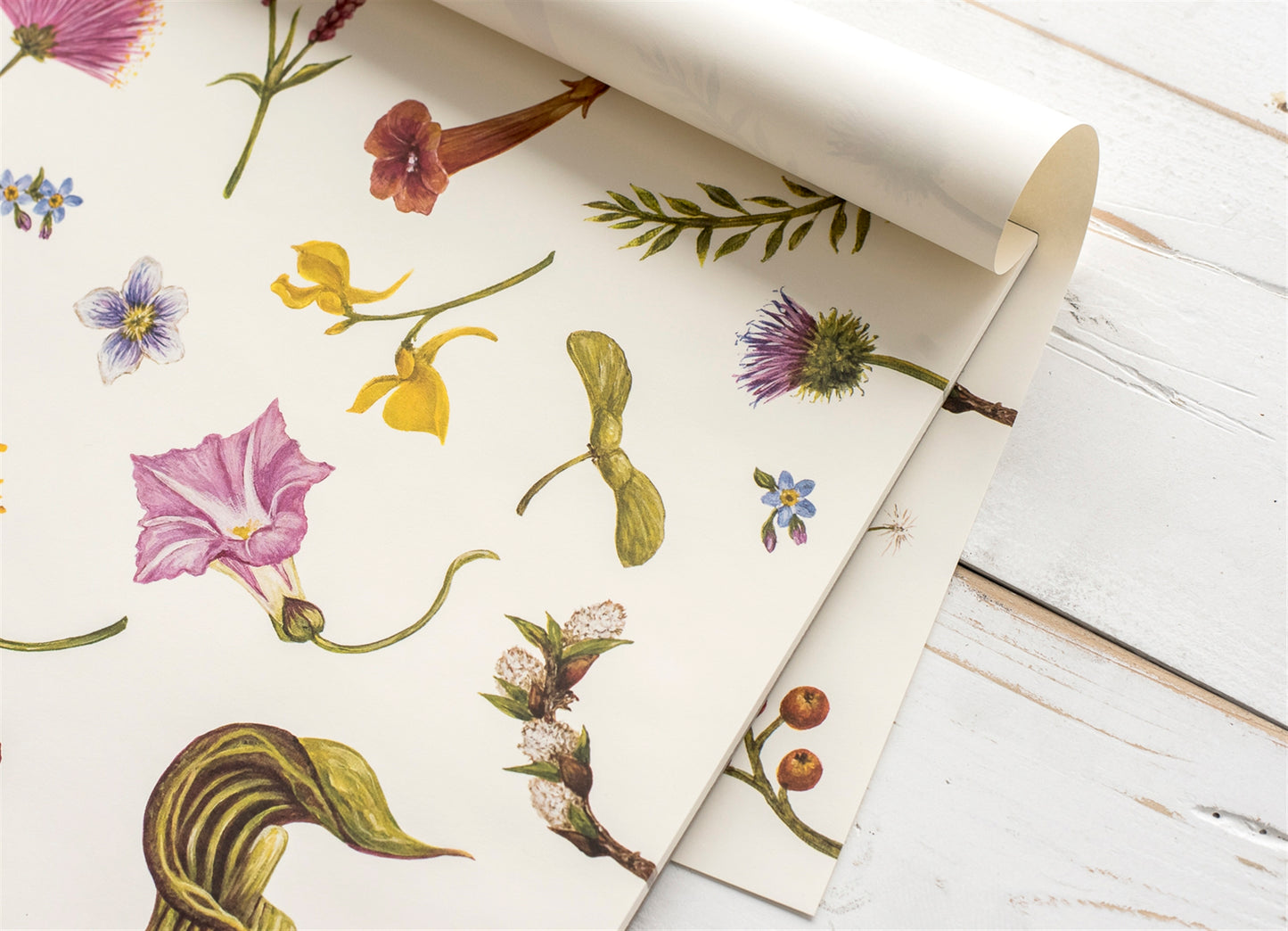 A close up view of the Spering Collage paper placemats design