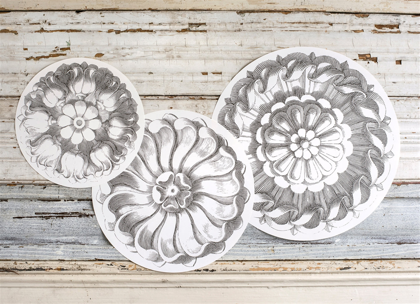 Black and white serving papers.