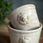 The top one is the Medium size for the Lion Head Planters