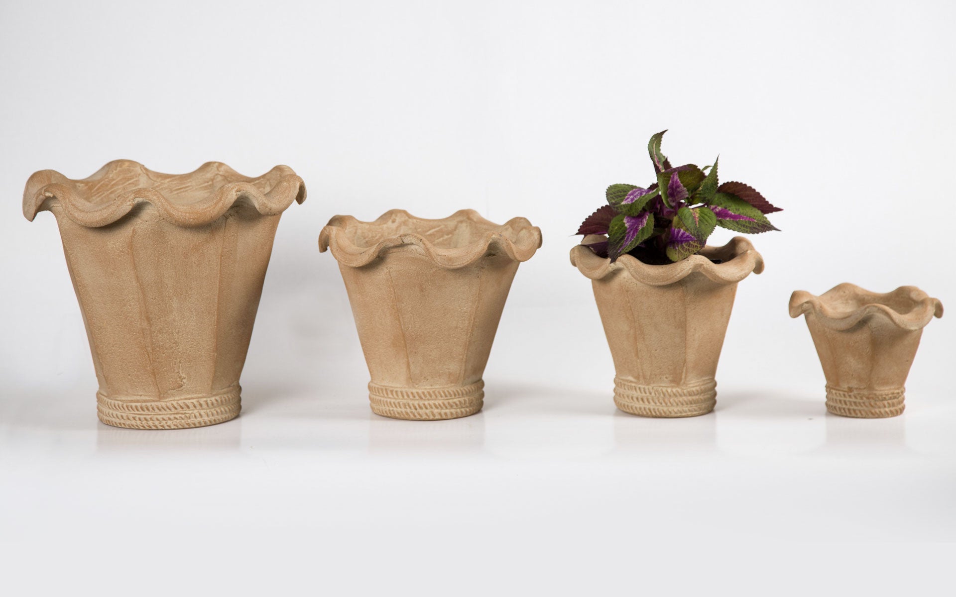 Chantecler in all four sizes in natural clay