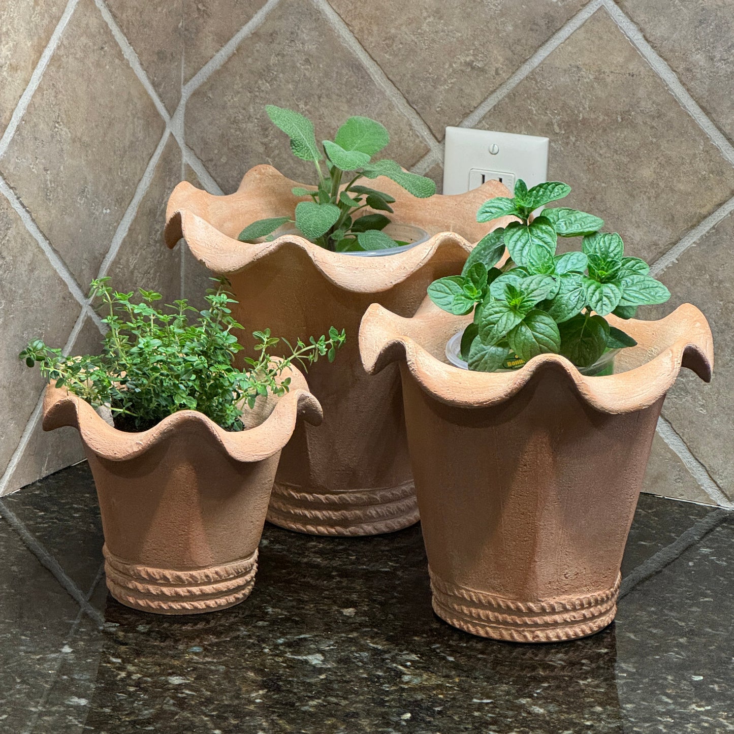 Large, Medium ,and small Chantecler pots with herbs
