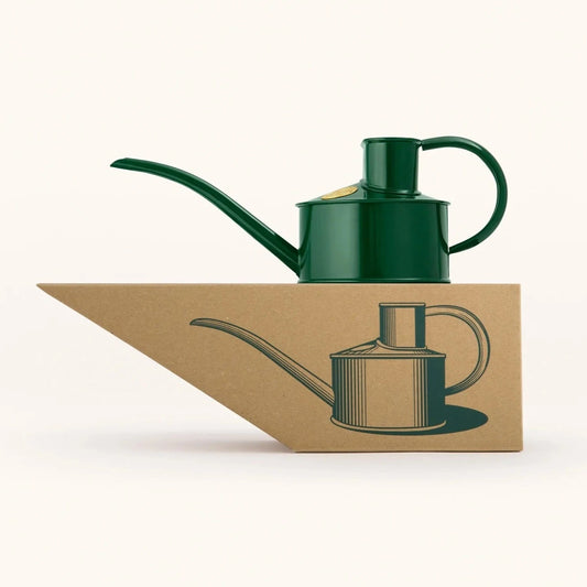 TheHaws Fazeley Flow  One Pint Watering Can in British Green sitting on it's box.