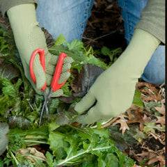 fox gardening gloves Foxgloves Original Gardening Gloves (Large, Forest Green)