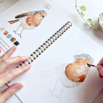 One page from the Bird Watercolor workbook by Emily Lex showing the how to method.