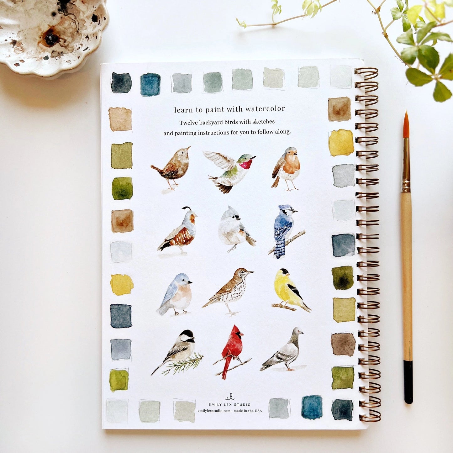 The back cover of the Bird Waterolor Workbook by Emily Lex.